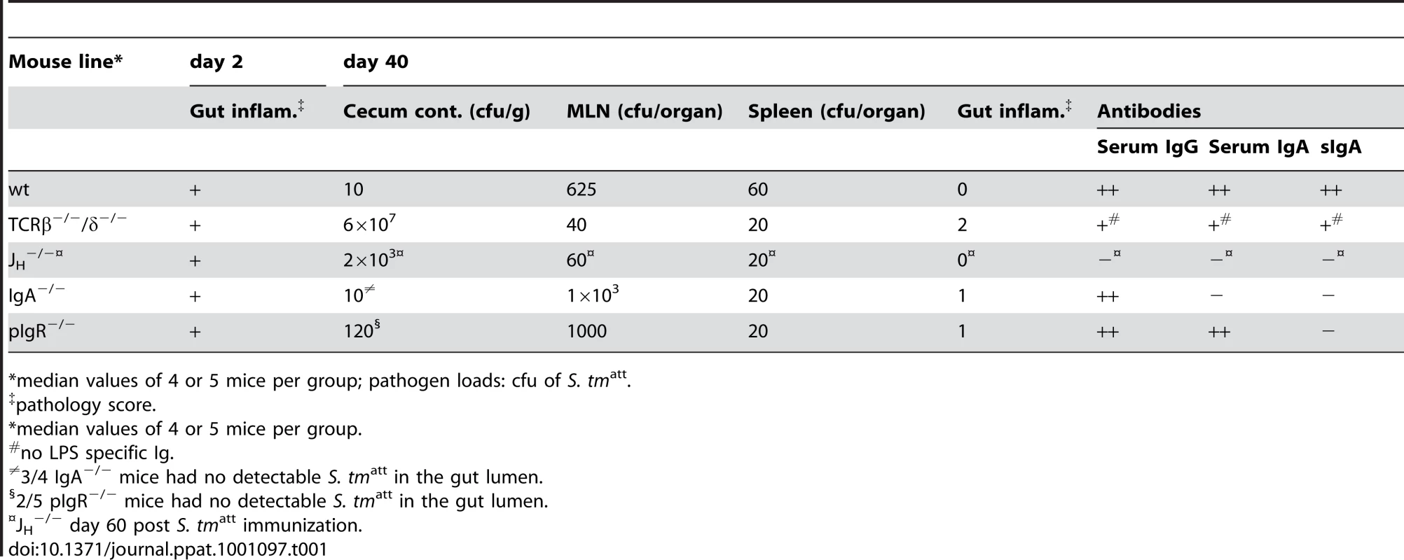 Primary infection with <i>S. tm</i><sup>att</sup>.
