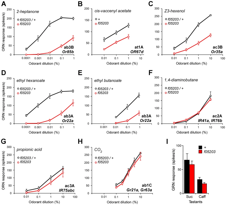 <i>dATP8B</i> is required for responses of <i>Or</i> but not <i>IR</i> or <i>Gr-</i> expressing sensory neurons.