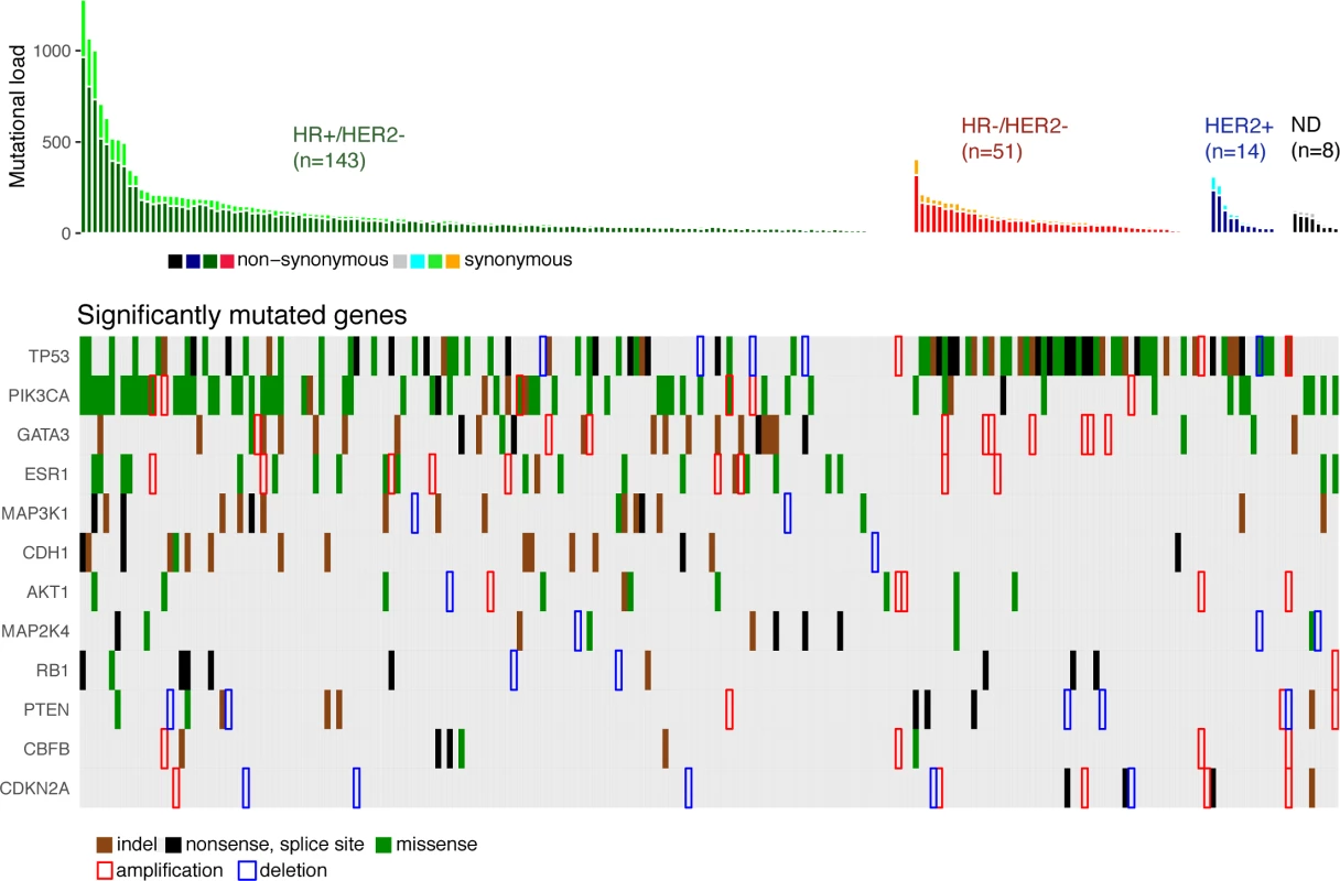 Driver gene mutations in metastatic breast cancers.