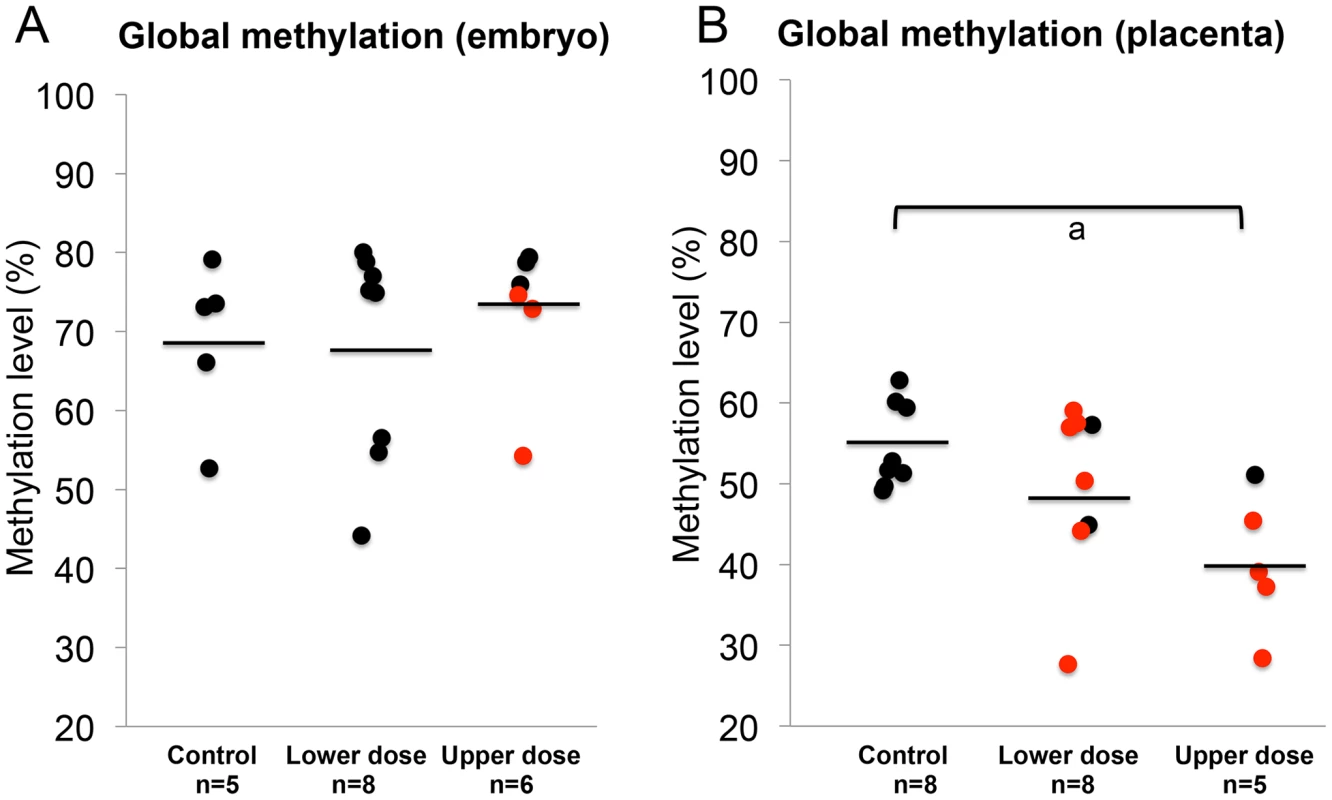 BPA exposure reduced genome-wide DNA methylation in the placenta but not the embryo.