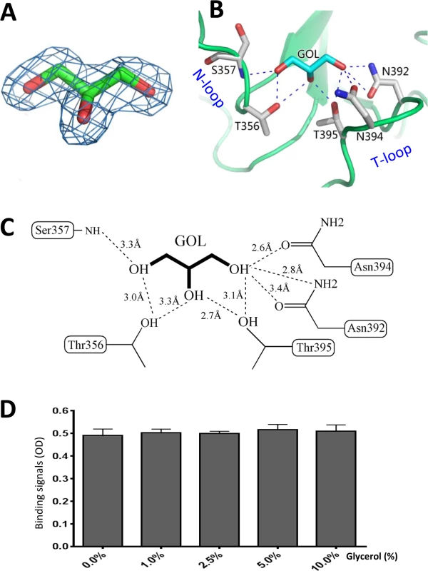 Glycerol binds the HBGA binding interface of OIF virus.