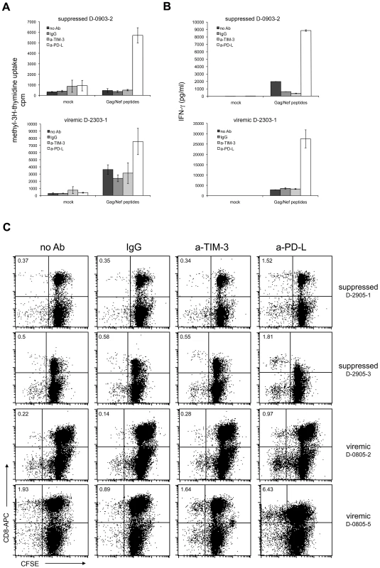 TIM-3 antibodies do not revert T cell exhaustion.