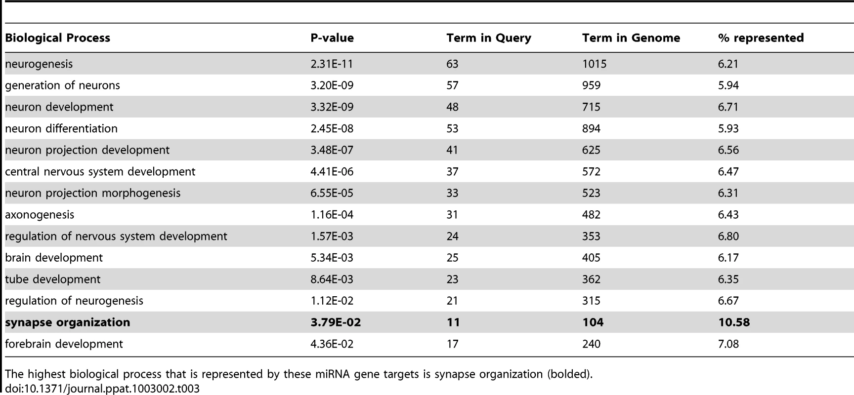 The list of the 14 processes that consist of the miRNA target genes which are strictly related to neuronal function for which the p-value is less than or equal to 0.05.