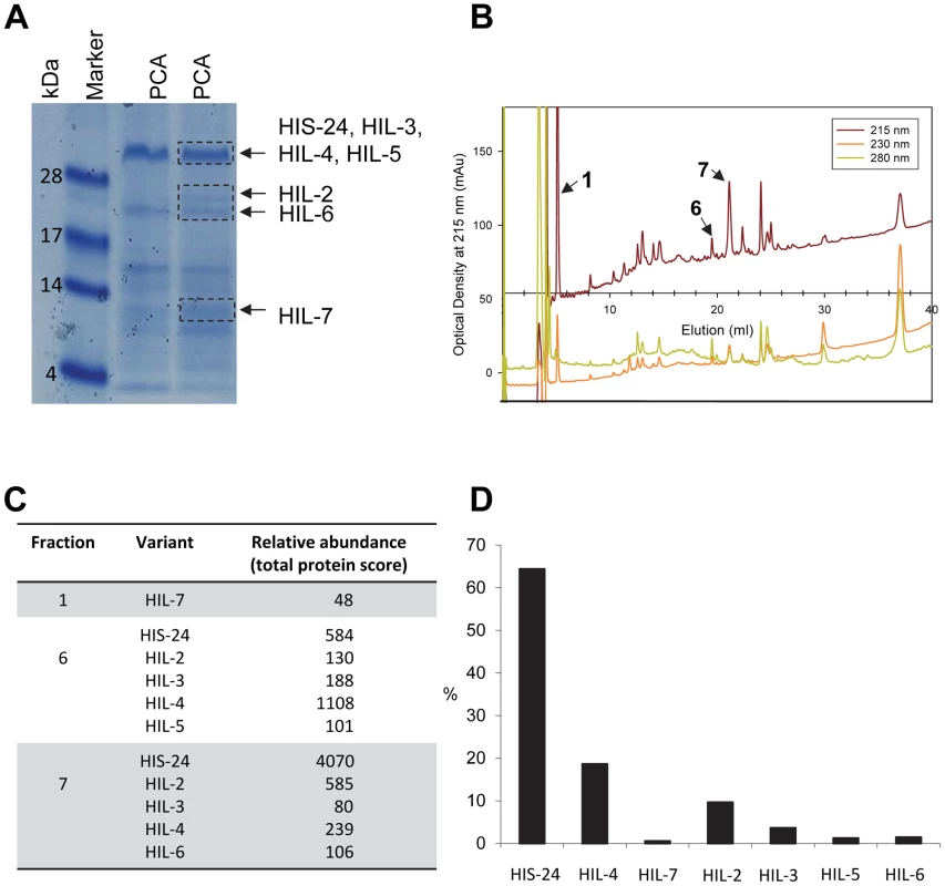 <i>C. elegans</i> H1 proteomics.