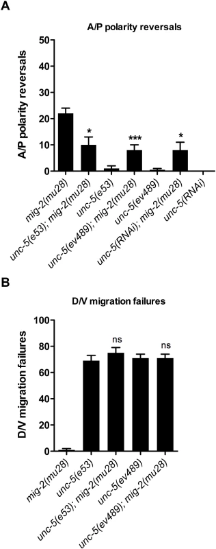 <i>unc-5</i> mutations suppress <i>mig-2(mu28)</i> mutant DTC phase 3 A/P polarity reversals, but <i>mig-2(mu28)</i> does not suppress <i>unc-5</i> mutant phase 2 D/V migration failures.