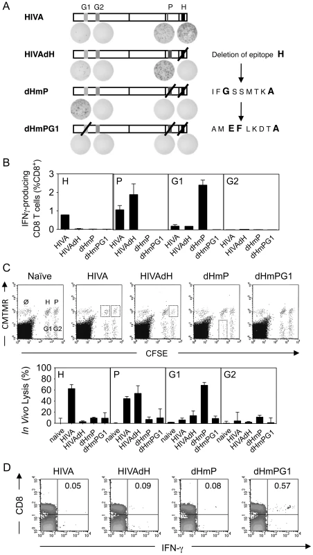 Serial up-ranking of epitopes.