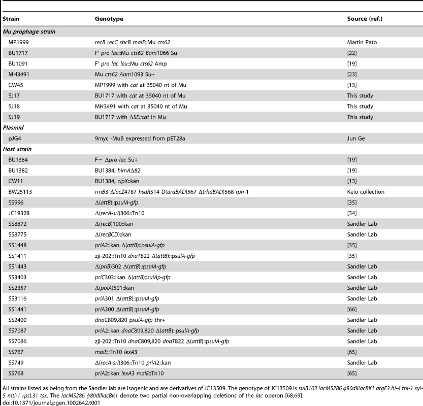 Strains used in this study.
