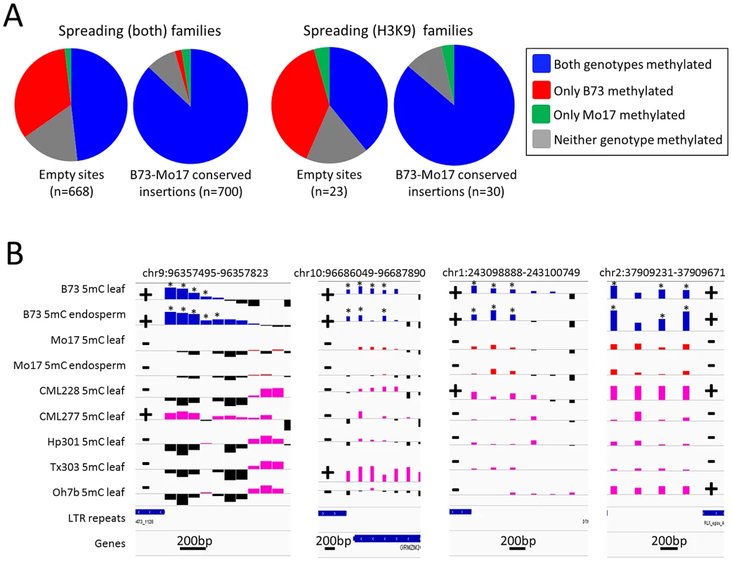 Heterochromatic marks are associated with presence of retrotransposons.
