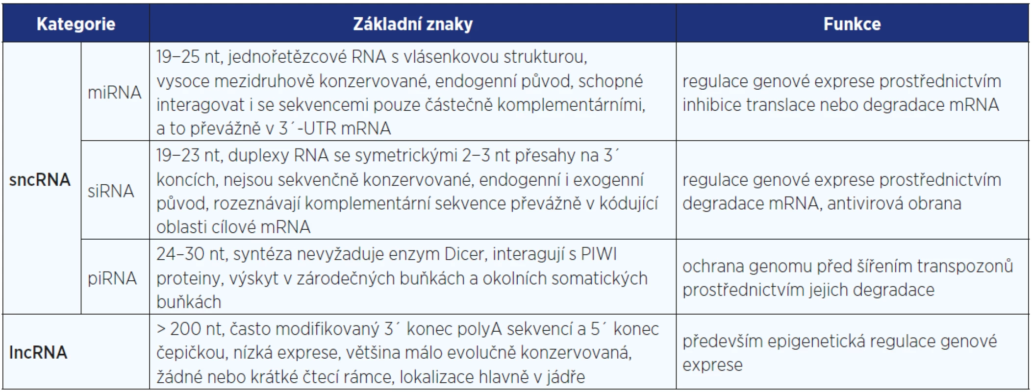 Charakteristika hlavních kategorií ncRNA s regulační funkcí