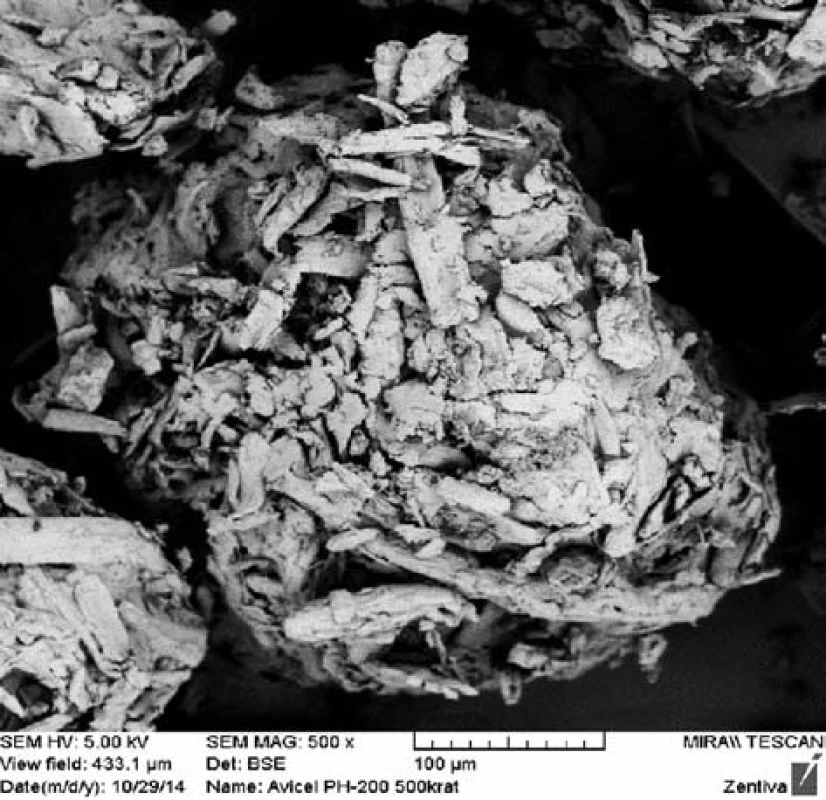 SEM image of Avicel PH-200 particle, magnification 500×