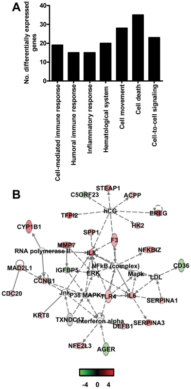 Direct comparison of gene expression profiles in the lungs of aged and young adult SARS-CoV-infected macaques.