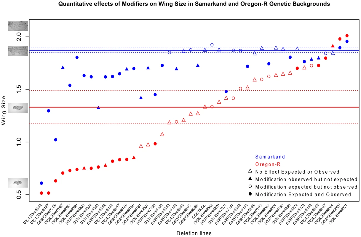 Background dependence is partially a consequence of strain specific sensitivity to genetic perturbation.