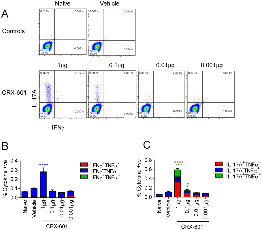 Induction of Th17 cells following intranasal vaccination with liposomal CRX-601 and split flu antigen.
