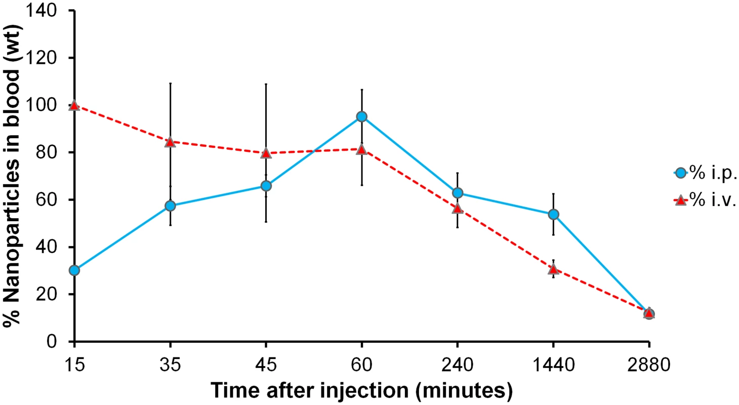 Circulation kinetics of fluorescent chitosan nanoparticles in mouse model.