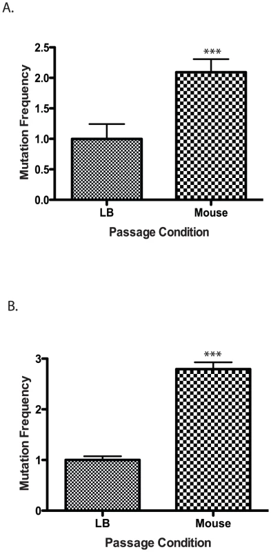 Mutation frequency of culture vs. mouse passaged wild type <i>V. cholerae</i>.