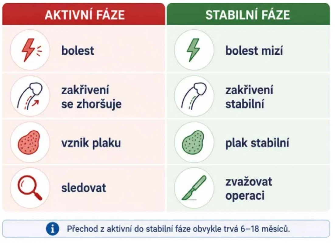 Aktivní a stabilní fáze onemocnění