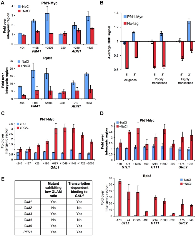 Prefoldin binds the transcribed region of active genes.