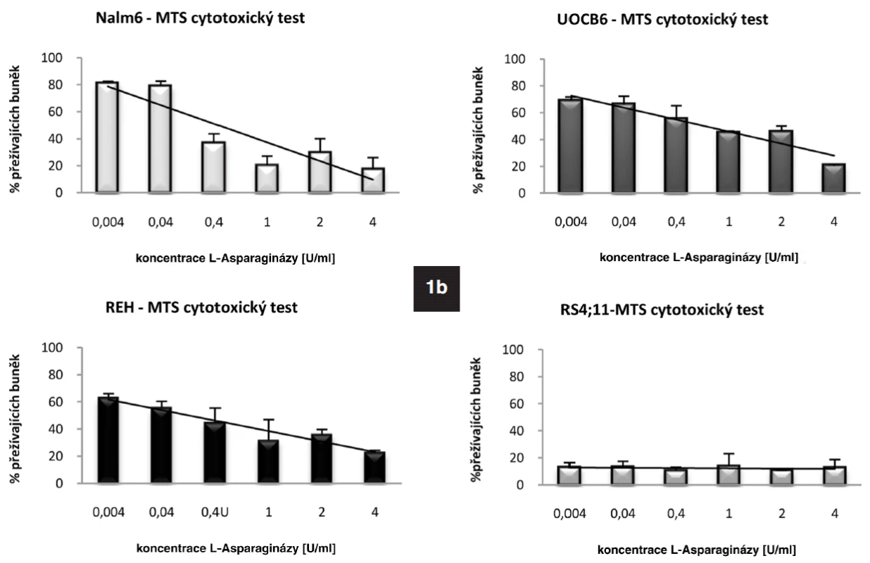 1a. Rozdílná bazální hladina genu pro ASNS u ALL buněčných linií stanovená pomoci qRT-PCR. Množství proteinu ASNS detekované metodou Western Blot.
1b. Výsledek MTS cytotoxického testu ukazující rozdílnou citlivost jednotlivých buněčných linií k L-Asp.