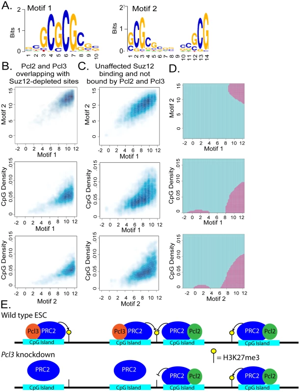 Pcl2 and Pcl3 localize to CpG islands.