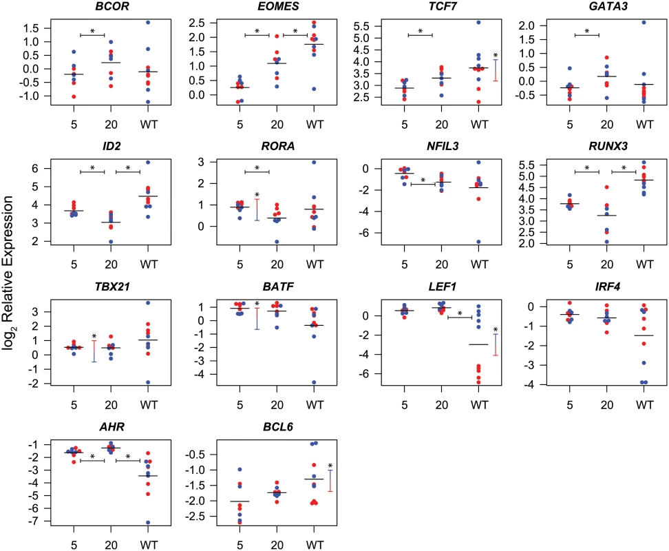 Differential expression of transcription factors in CD8<sup>+</sup> T cells isolated at week 5 and week 20 post-vaccination with SIVΔnef and at week 20 post-infection with wild-type SIV.