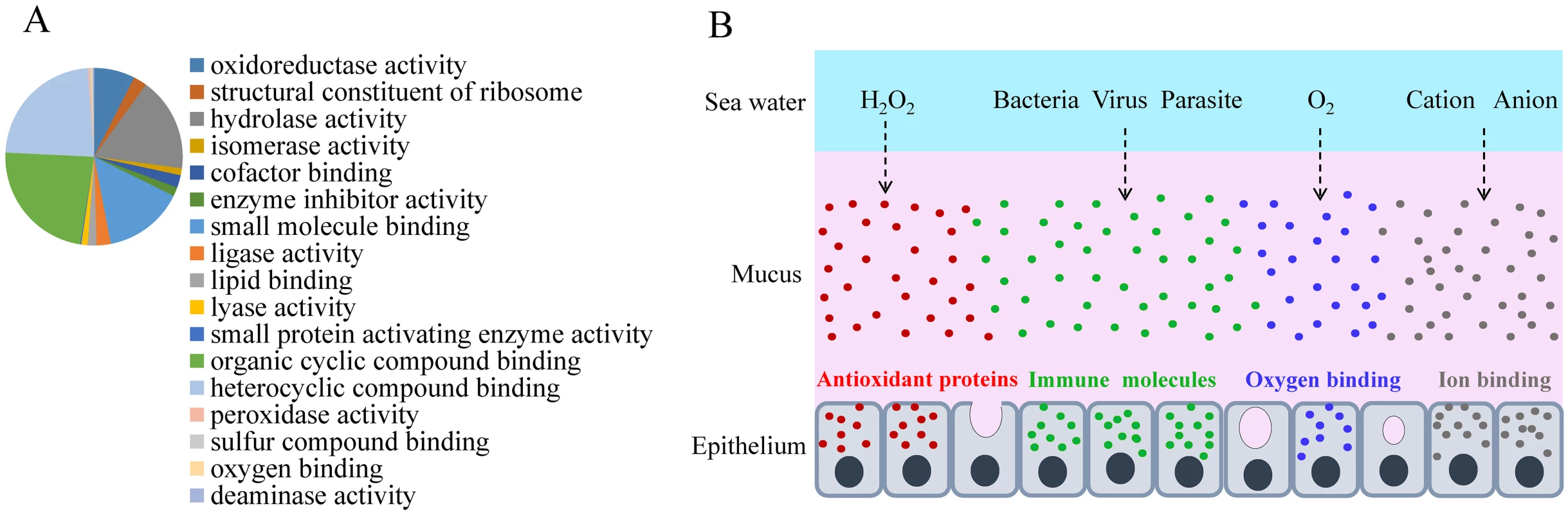 Skin mucus proteins are overexpressed in air-exposed <i>L</i>. <i>crocea</i>.