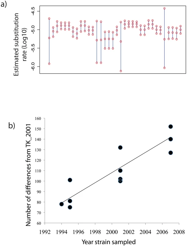 95% highest posterior density intervals on the estimated substitution rate.