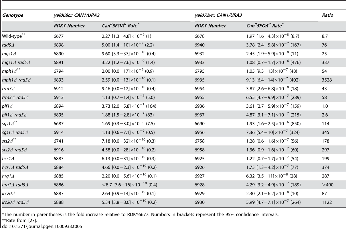 Effects of combining defects in <i>RAD5</i> with other helicase-encoding genes on duplication-mediated GCRs.