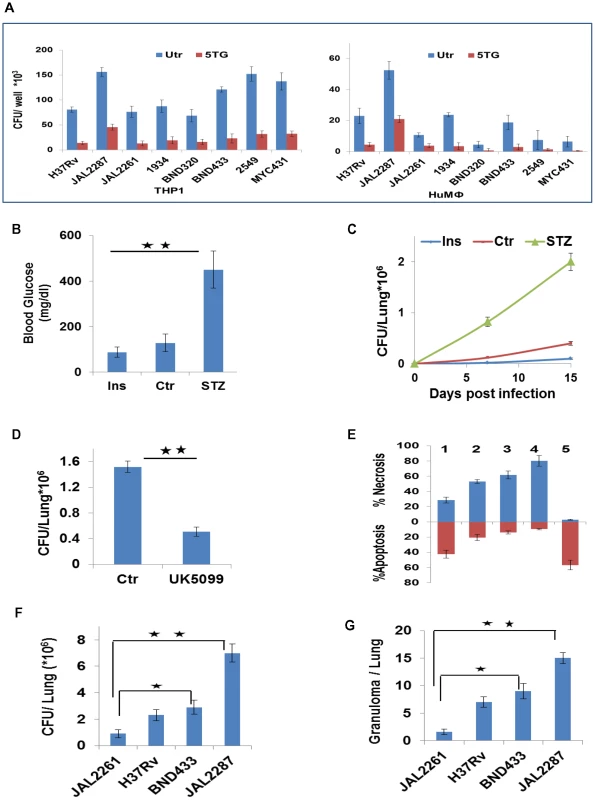 Metabolic thresholds influence Mtb pathogenesis.