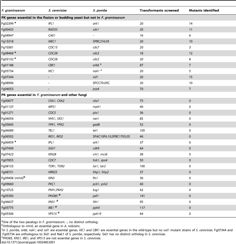 Protein kinase genes essential in <i>S. cerevisiae</i>, <i>S. pombe,</i> or <i>F. graminearum</i>.