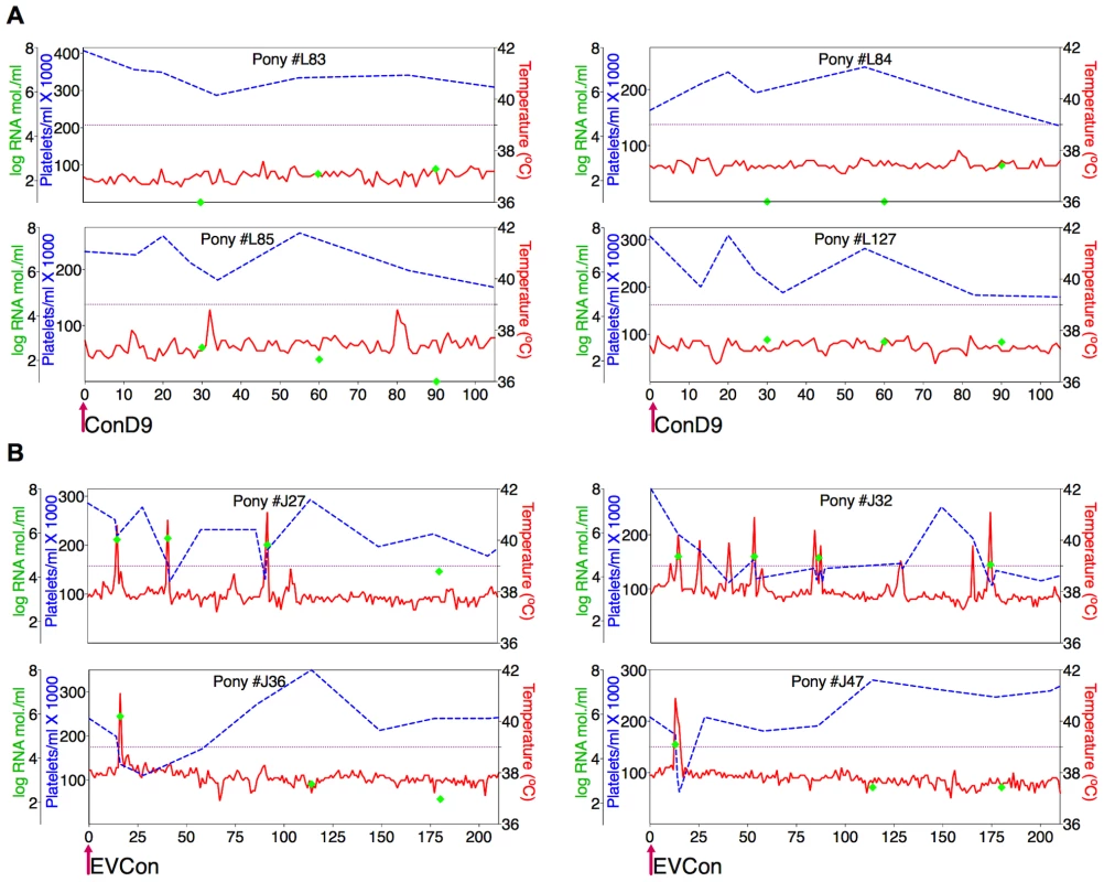 Clinical and virological profiles of ponies inoculated with the consensus Env in attenuated (ConD9) and pathogenic (EVCon) EIAV viral backbones.