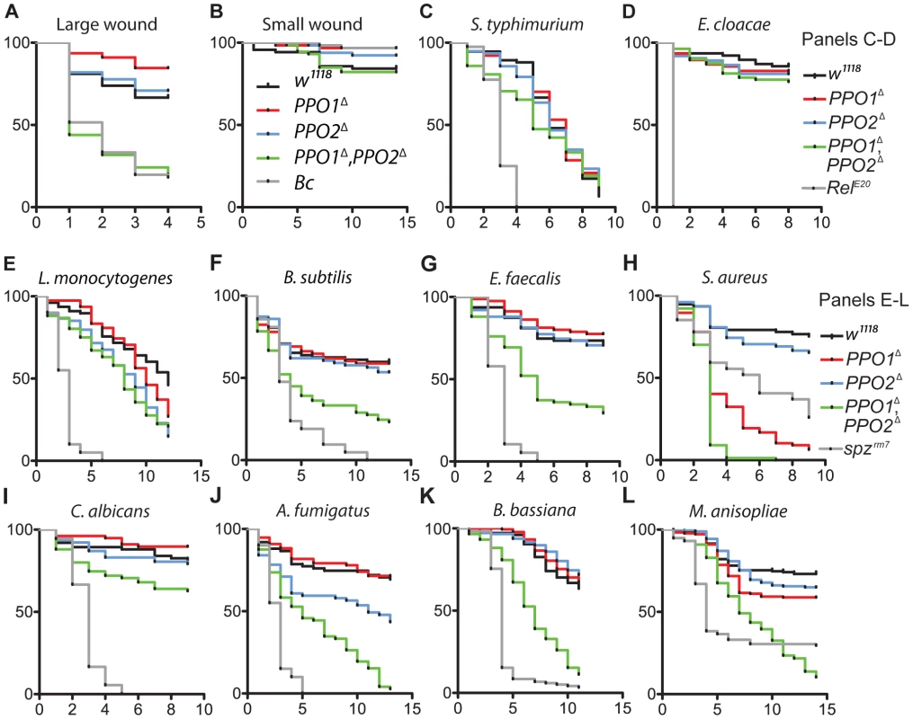 Contribution of <i>PPO1</i> and <i>PPO2</i> to wound healing and to host defense.