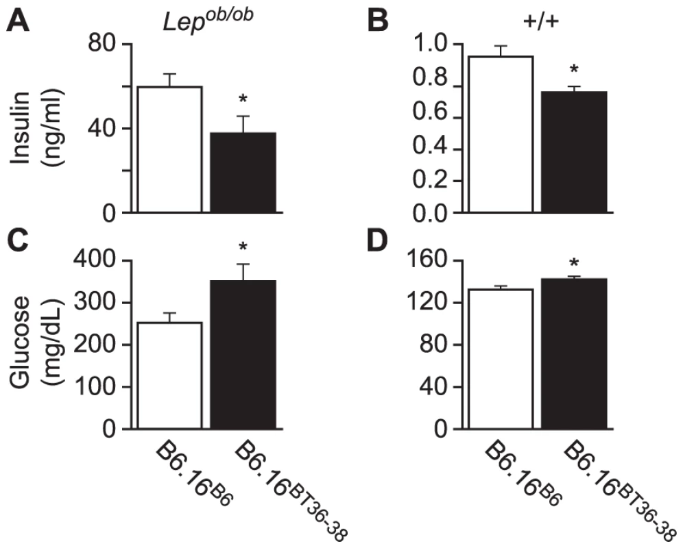 Plasma insulin and glucose levels in the B6.16<sup>BT36–38</sup> male mice.