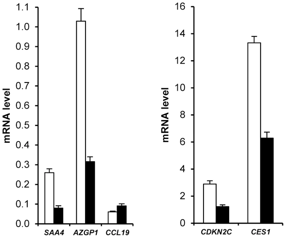 Sexual dimorphism of adipose tissue gene expression.