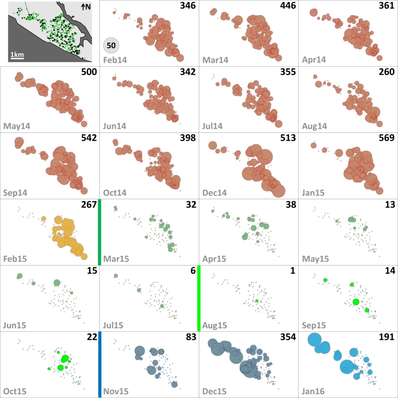 Monthly female <i>Aedes albopictus</i> emergence in each of the 100 surveillance dwellings.