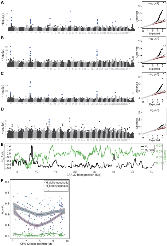 PC1 GWAS and fine mapping at CFA32.