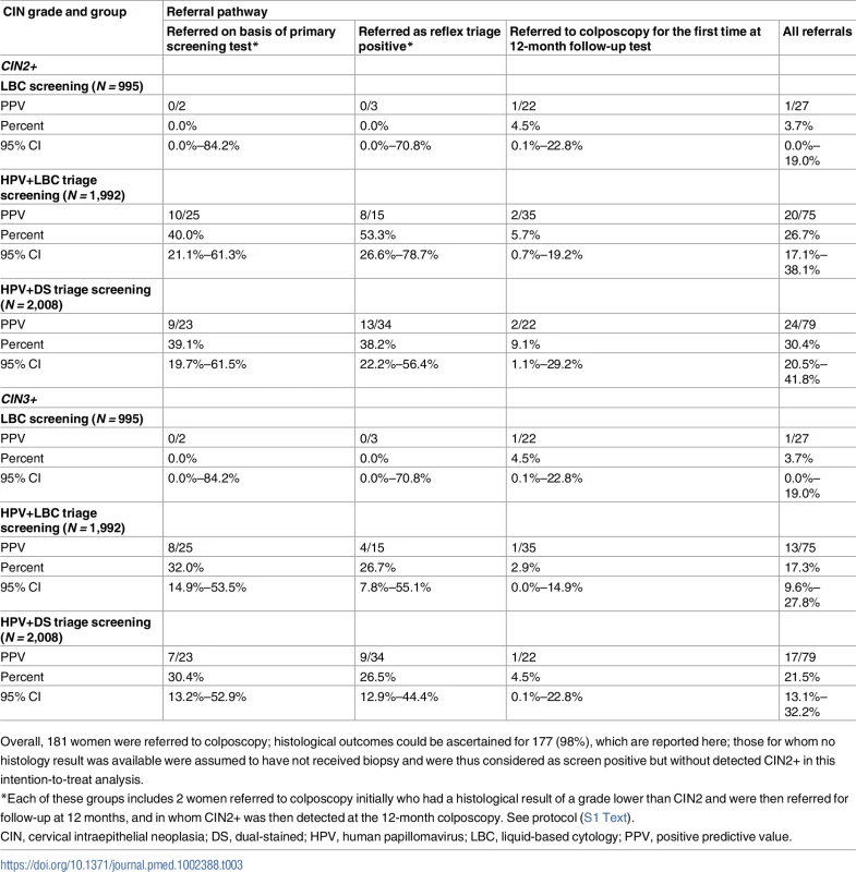 PPVs for CIN2+ and CIN3+, by allocation group and referral pathway.
