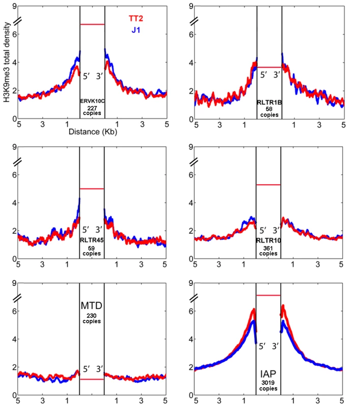 ERV influence on H3K9me3 chromatin.