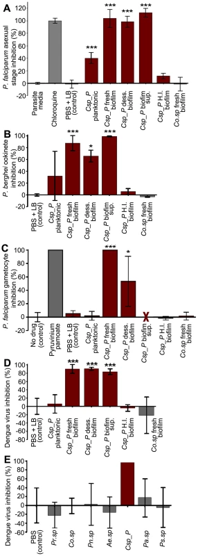 <i>Csp_P</i> has anti-<i>Plasmodium</i> and anti-dengue activity <i>in vitro</i>.