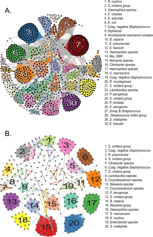 Clustering of sequenced isolates by genomic similarity.