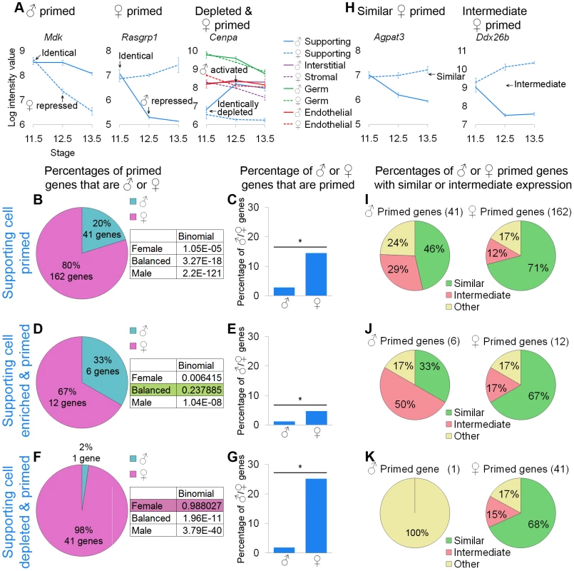 Supporting cells showed lineage priming with a female bias.