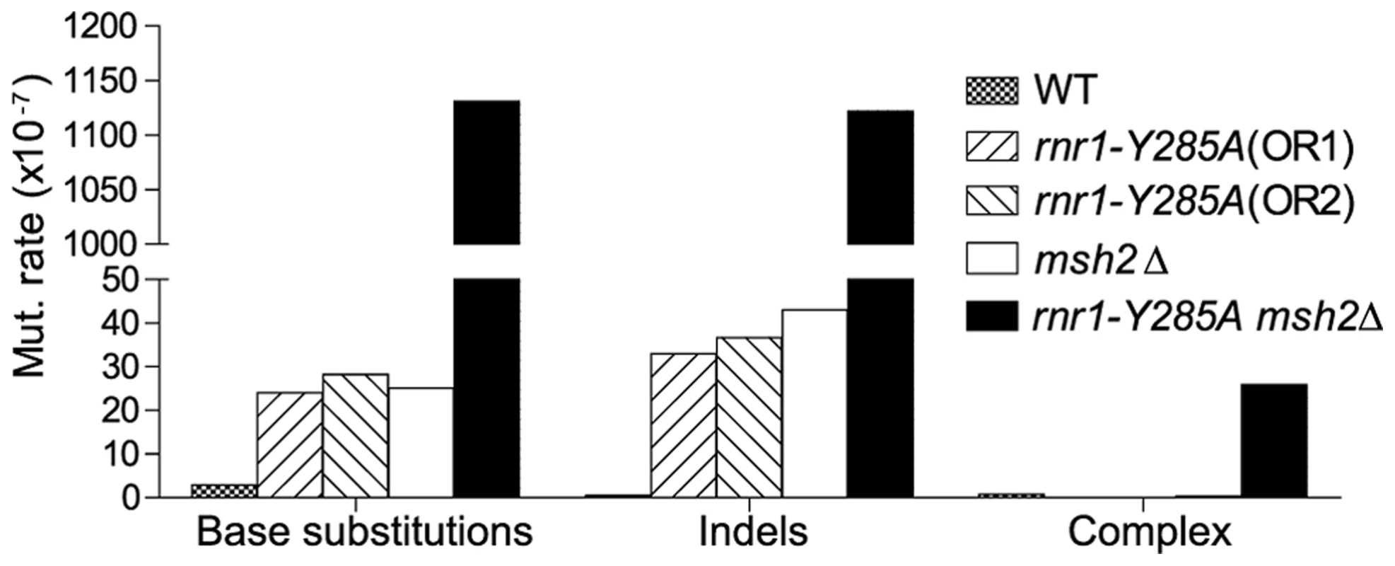 Mutations rates by class.