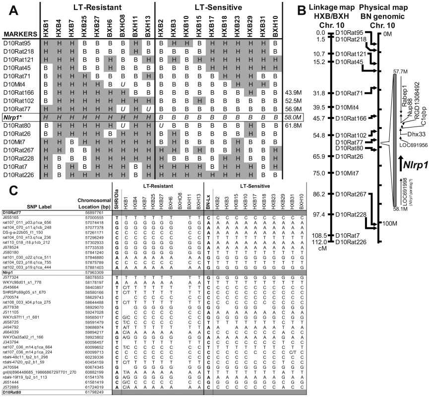 Mapping of the LT sensitivity locus to chromosome 10.