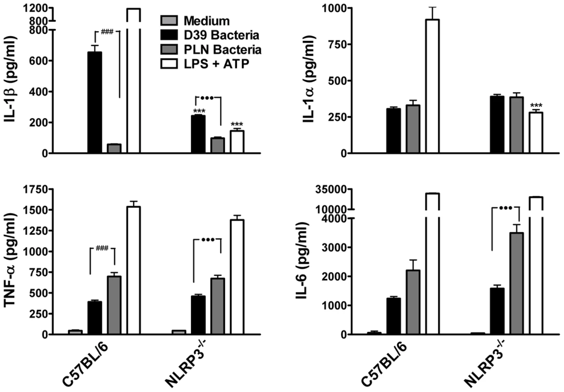 Live <i>S. pneumoniae</i> promotes IL-1β secretion by DC in a NLRP3-dependent manner and this requires PLY.