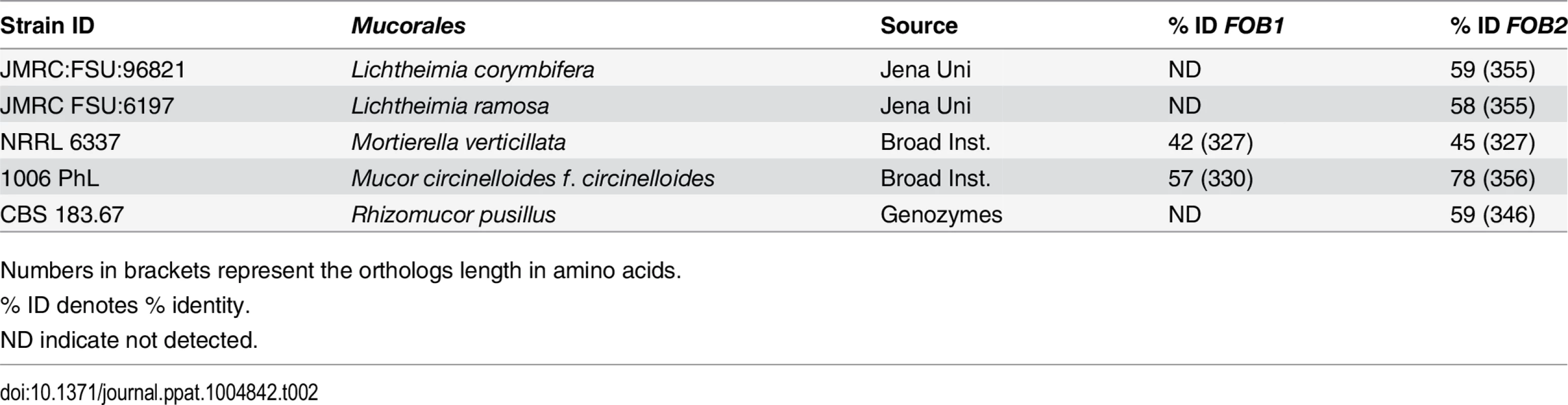 Sequence homology of <i>FOB1/2</i> genes from <i>R</i>. <i>oryzae</i> 99-880 to possible <i>Mucorales</i> orthologs.
