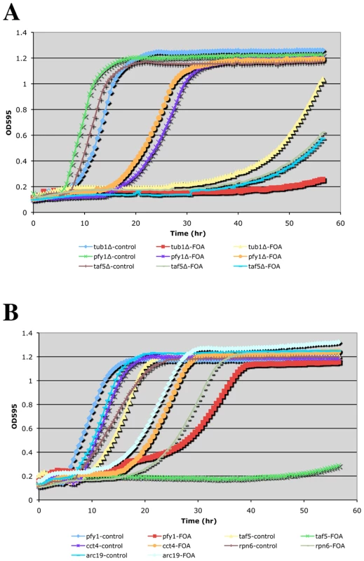 Growth curves of doubly hemizygous strains.