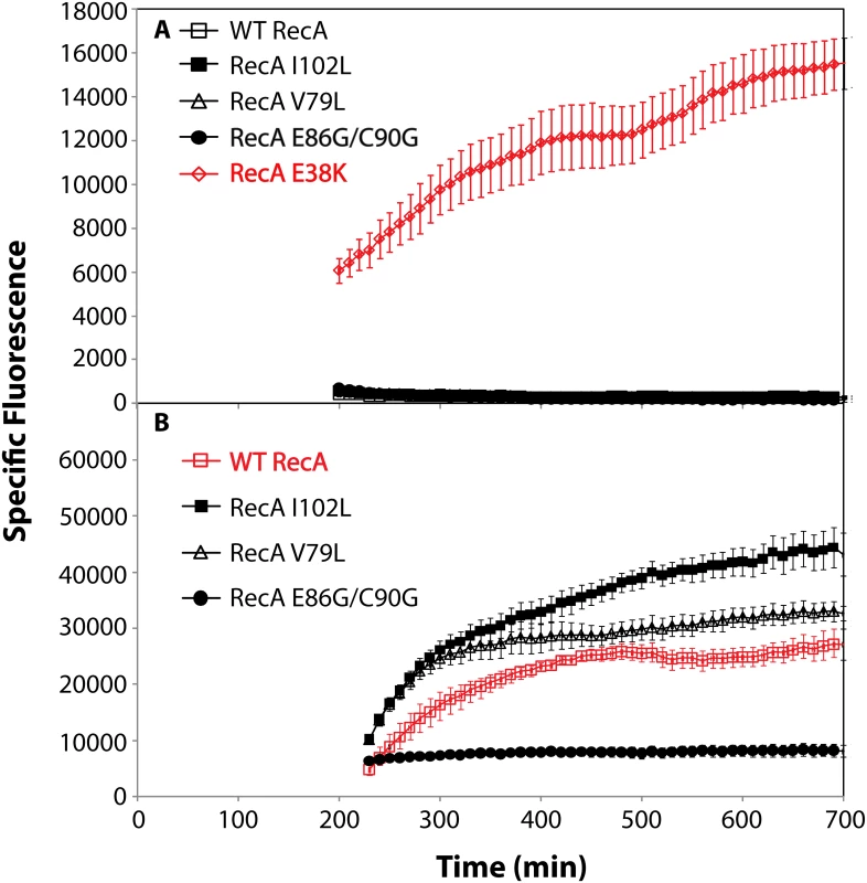 SOS response of RecA variant proteins.