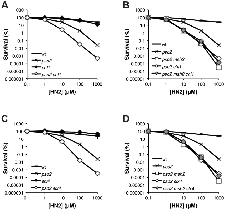 The FANCJ- and FANCP-related factors Chl1 and Slx4, respectively, are both involved in the ICL repair pathway controlled by Mph1-Mgm101-MutSα.