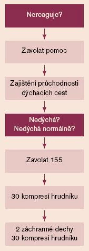 Algoritmus BLS u dospělých při mimonemocniční zástavě [25]. BLS (basic life support) – základní neodkladná resuscitace.