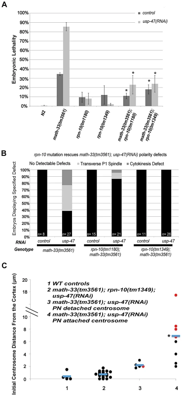 Mutation of <i>rpn-10</i> suppresses lethality and polarity defects in <i>math-33(tm3561); usp-47(RNAi)</i> embryos.