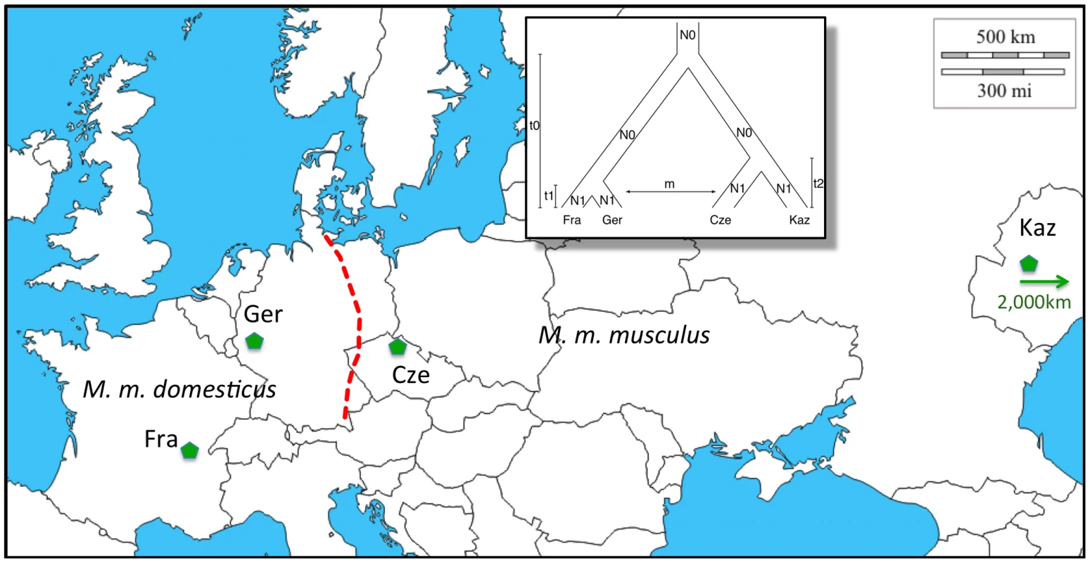 Distribution of populations and subspecies sampled.